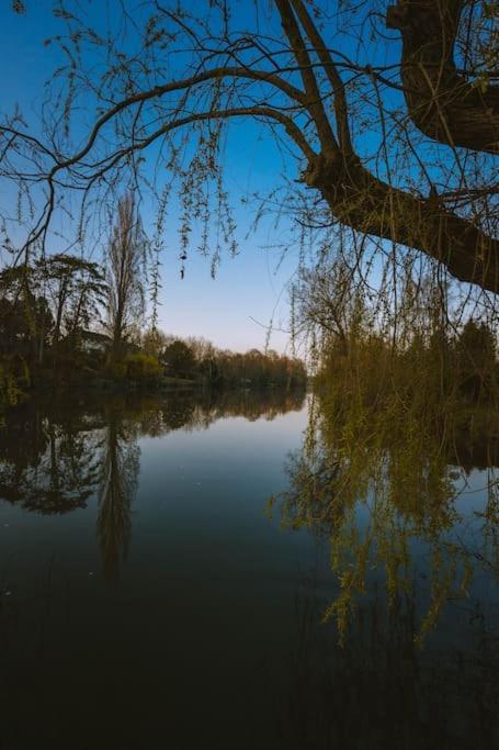 Le Chalet Du Bout Du Monde, En Bord De Riviere ! Grez-sur-Loing Dış mekan fotoğraf